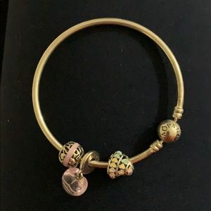 COPY - Pandora Charm Bracelet